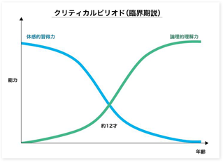 クリティカルピリオドの図