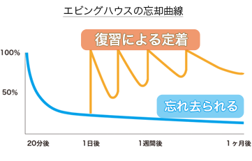 エビングハウスの忘却曲線